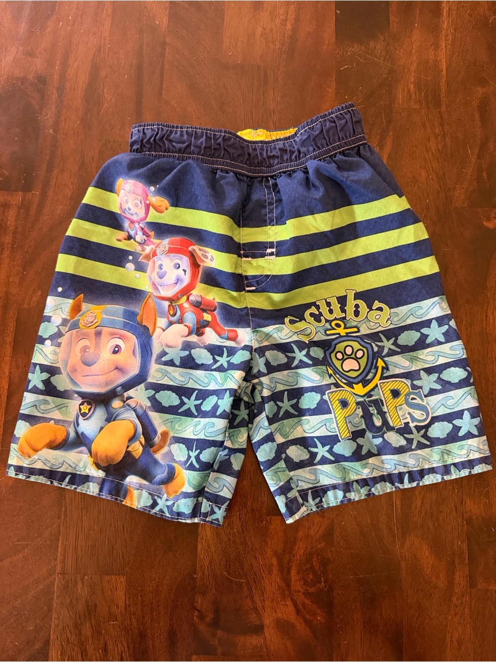 Nickelodeon Paw Patrol Navy Blue & Lime Swim Trunks